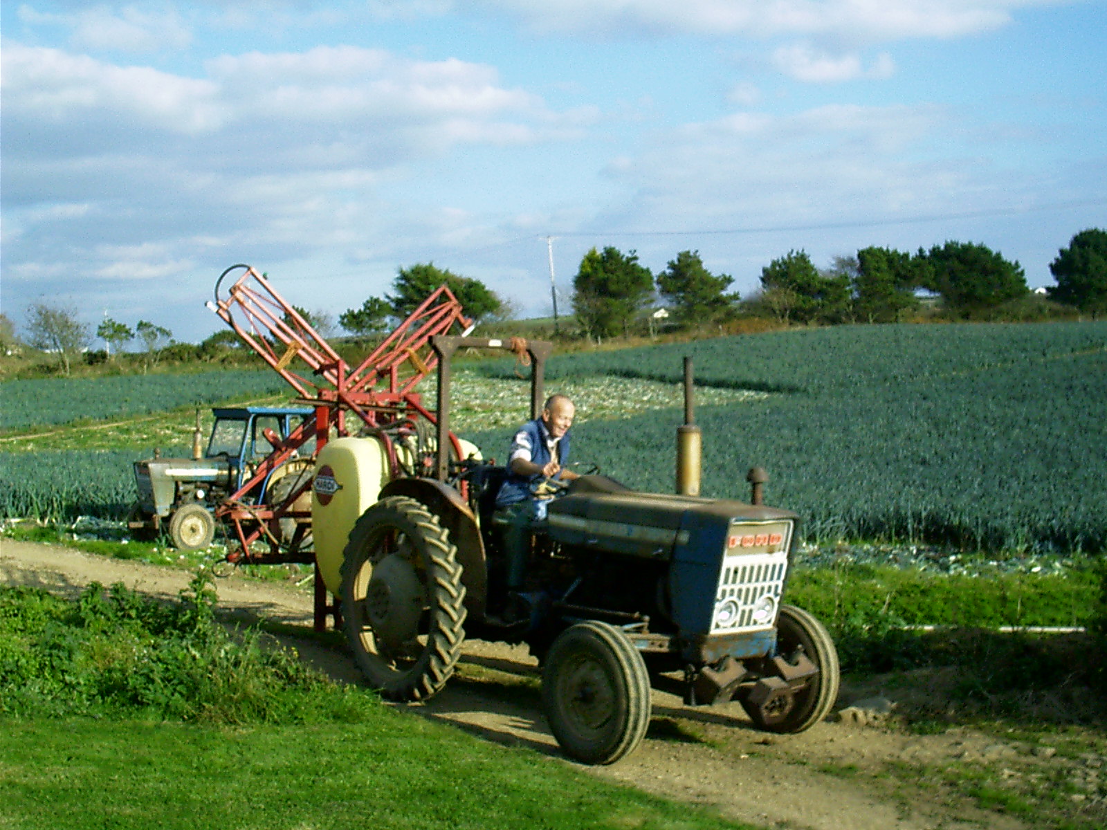 Leeks will start selling in August