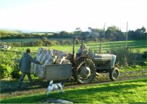 Potatoes on sale throughout the year